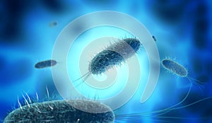 Close up of microscopic bacteria