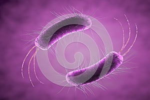 Close up of microscopic bacteria , 3d illustration