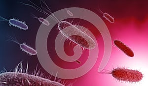 Close up of microscopic bacteria