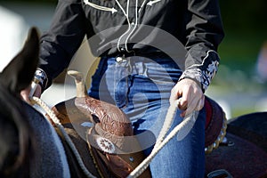 Sitting Pretty on a Western Saddle