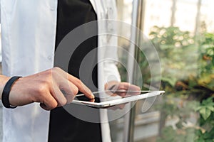 Close up midsection of agronomy scientist analyzing plant health using digital tablet at greenhouse