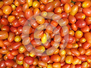 Close up mini tomato