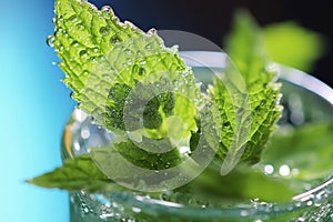 close-up of a mint leaf being muddled in a glass