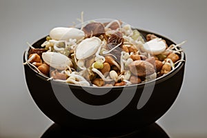 Close-up of A mix of organic sprout seeds sprouting  germinating bowl contains almond, groundnut, black gram, wheet, fenugreek