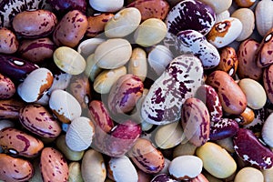 Close up of mixed beans