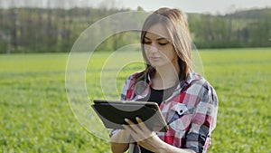 Close-up modern farmer using digital tablet on wheat field. Checking plant growth progress
