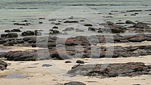 Close up from modern stromatolites landscape in SharkBay National Park