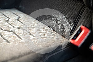 Close up of mold on a car seat that has been laid up for several months