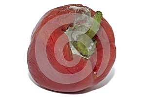 Close Up Of Moldy Bell Pepper On White