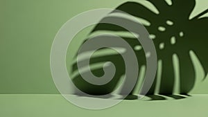 Close-up of Monstera Leaf with Shadow Effect