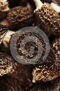 A close-up of the Morel mushroom is the first spring mushroom. The first spring mushrooms. A natural and healthy