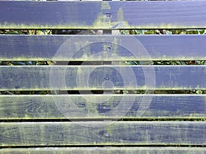 Close-up of the mossy wooden fence.