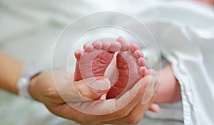 Close up mother hand holding newborn baby feet