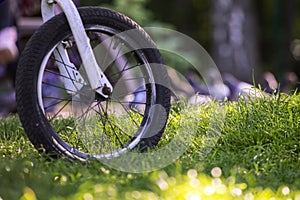 close-up of a mountain bike on the grass in the evening. Cycling and training.