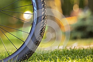 close-up of a mountain bike wheel illuminated by the evening sun.