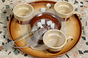 Close-up mouse climbs on a plate of sugar on a round tray with empty coffee cups. Top view.