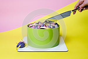 Close-up of mousse cake decorated with chocolate tulip, close up, yellow and pink background