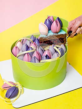 Close-up of mousse cake decorated with chocolate tulip, close up, yellow and pink background