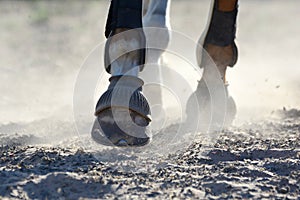 Close up of moving horse legs