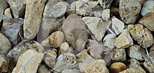 Close up of multi colored river rocks.
