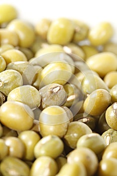 Close up of mung bean