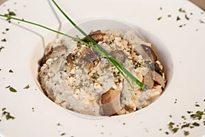 A close up of mushroom risotto garnish with oregano