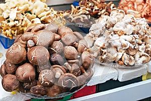 Close up of mushrooms