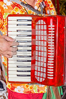 Close-up the musician fingers playing the red accordion, the street musician show.