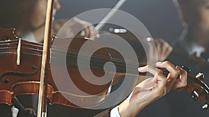 Close up of musician playing violin. Black smoke background