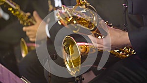 Close-up of musicians playing saxophones at concert. Action. Beautiful musicians in costumes play golden saxophones