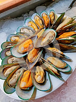 Close up of mussels on white dish Shellfish