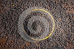 Close up of mustard seeds/Rai or brown mustard seeds in a small plate on a wooden surface in dark Gothic colors.