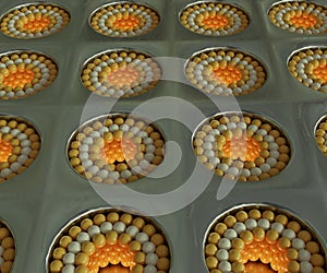 close up nanoaperture of plasmonic biosensor resonance opto-fluidic structure photo