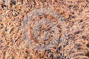 Close up of natural brown fur texture background