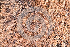 Close up of natural brown fur texture background