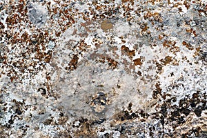 Close-up of natural grey stone with moss and lichen, abstract background