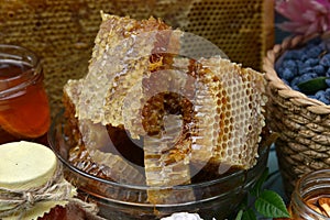 Close up of natural honey comb cut in pieces and honeysuckle berry outside.