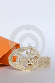 Close up natural luff sponge  in white background.