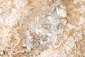 Close up natural mineral rock quartzite dolerite backdrop