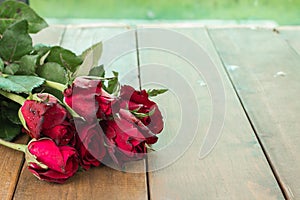 Close up Natural red roses and water drops on wooden. using as Valentines Day background,