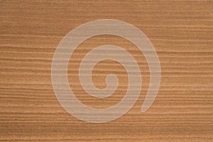 Close up natural wood grain texture / background