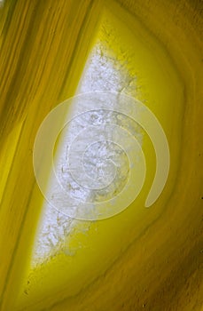 Close up of natural yellow agate crystal surface, yellow agate crystal cross section. abstract background texture
