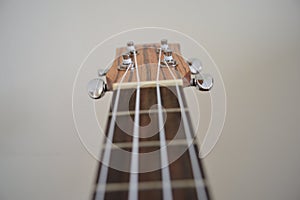 Close-up of the neck of a ukulele