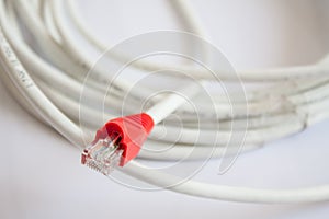 Close up of network cable and plugs on white background