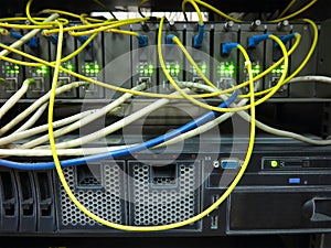 Close up network cables connected to switch in server rack