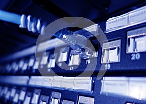 close up of network cables in a data center