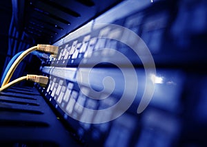 close up of network cables in a data center
