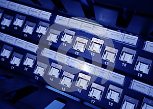 close up of network cables in a data center