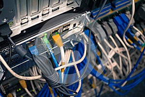 Close up of network internet cables, patch cords connected to bl