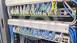 Close-up of a network server with multiple Ethernet cables connected to switches, showcasing a structured